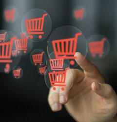woocommerce sorting large catalogs, woocommerce 1000 products, large catalog management, woocommerce sorting plugin, enterprise woocommerce solution, advanced product sorting, large inventory management, woocommerce performance optimization, product catalog organization, woocommerce enterprise catalog, advanced formula sorting, wooranker advanced plan, woocommerce query optimization, large store management, scaling woocommerce, product database management, woocommerce large store, bulk product sorting
